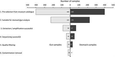 Historical DNA Metabarcoding of the Prey and Microbiome of Trematomid Fishes Using Museum Samples